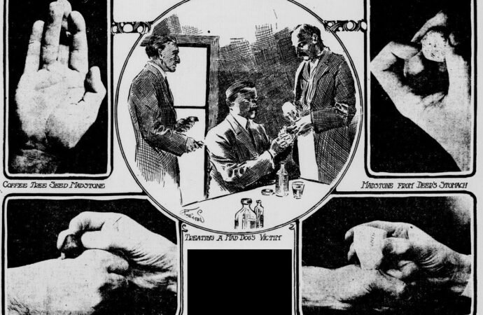 Sebelum Ada Vaksin, Inilah Batu yang Dipercaya Menyembuhkan Rabies