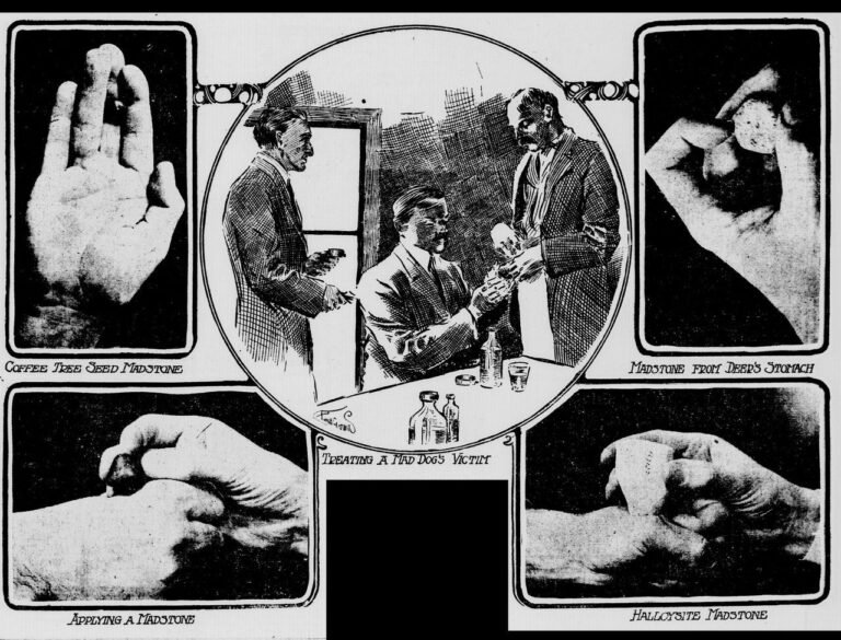 Sebelum Ada Vaksin, Inilah Batu yang Dipercaya Menyembuhkan Rabies