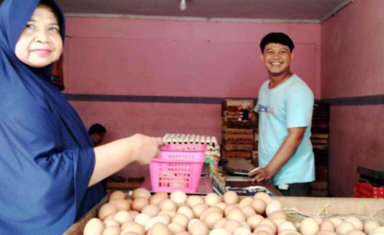 Produksi Daging dan Telur di Pangandaran Belum Mencukupi Kebutuhan Warga