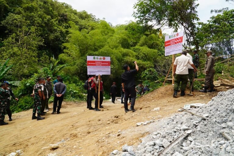 Bekas Tambang Emas Ilegal di Salopa Disulap Jadi Kebun Kopi dan Pepaya