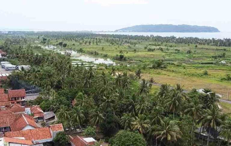 DPRD Pangandaran Dorong Pemerintah Kembangkan Sentra Perkebunan Kelapa di Pesisir
