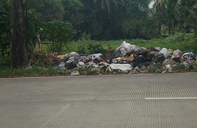 Kacau! Jalan Penghubung Kabupaten Tasikmalaya Disulap Jadi Tempat Pembuangan Sampah