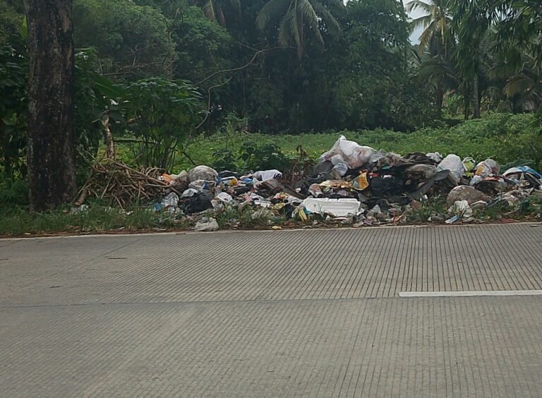 Kacau! Jalan Penghubung Kabupaten Tasikmalaya Disulap Jadi Tempat Pembuangan Sampah