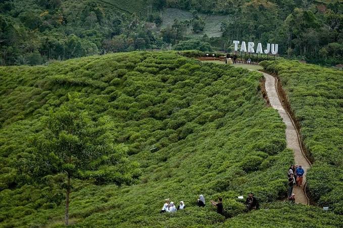 Dari Pantai hingga Kampung Adat, Inilah Pesona Wisata Tasikmalaya yang Jarang Diketahui
