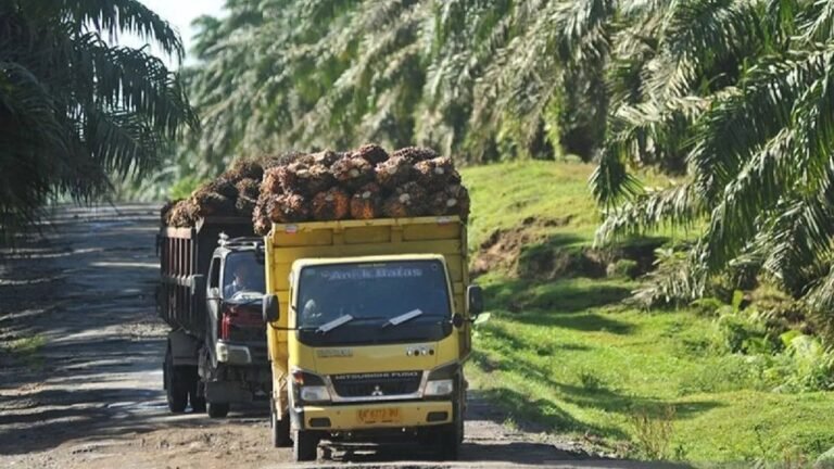 Konflik Timur Tengah Memanas, Pengusaha Sawit RI Cemas.