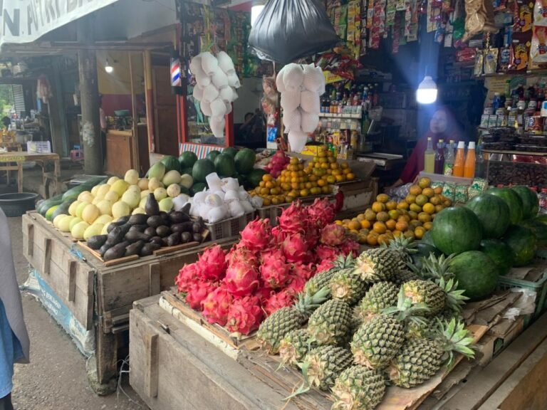 Ironi Program MBG di Kota Tasikmalaya: Pasar Sepi, Harga Buah Naik, Omzet Pedagang Tergerus