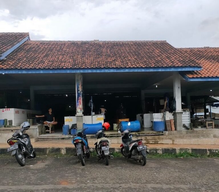 Pedagang Ikan Ciamis Belum Rasakan Dampak Program MBG, Penjualan Masih Stagnan