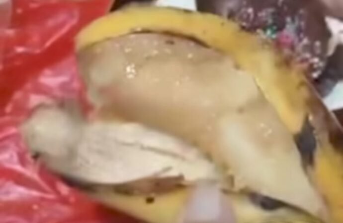 Video Keluhan MBG di Kota Tasikmalaya Ramai di Medsos, Warga Sebut Makanan Basi hingga Berbelatung