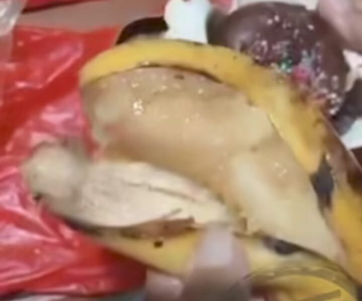 Video Keluhan MBG di Kota Tasikmalaya Ramai di Medsos, Warga Sebut Makanan Basi hingga Berbelatung